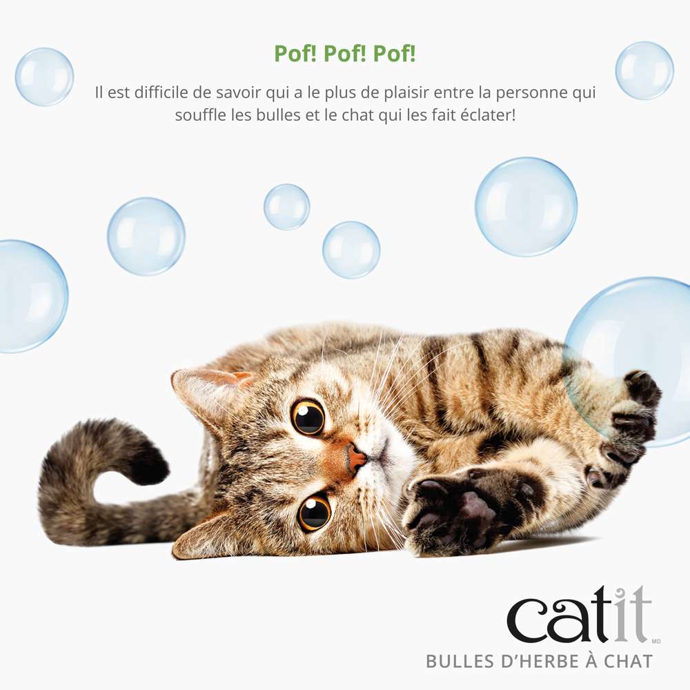 Bulles d'herbe à chat - Catit - Image 4