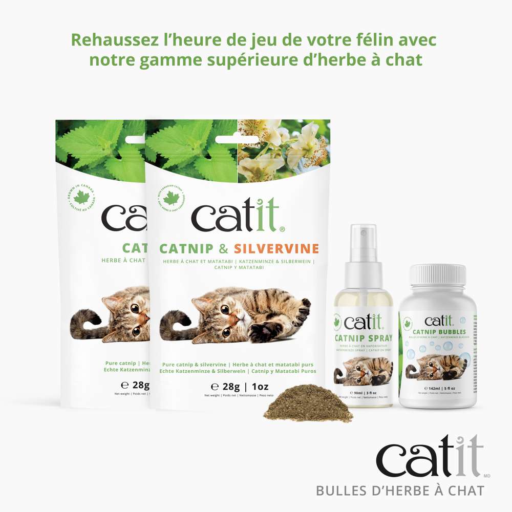 Bulles d'herbe à chat - Catit - Image 5