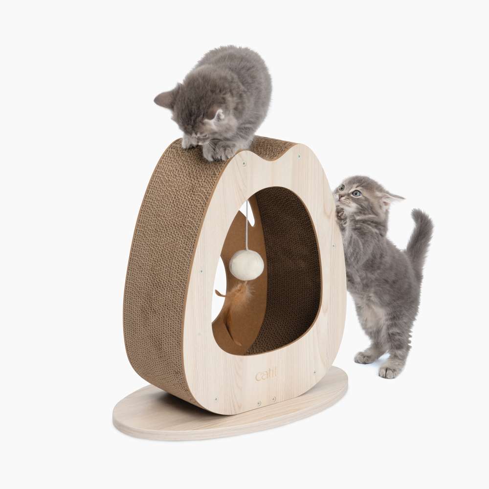 Carton de rechange pour Griffoir pour chat Large - Catit Pixi - Image 3