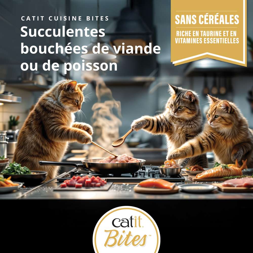 Multipack Bouchées pour chat - 12 x 75g - Catit Cuisine - Image 4