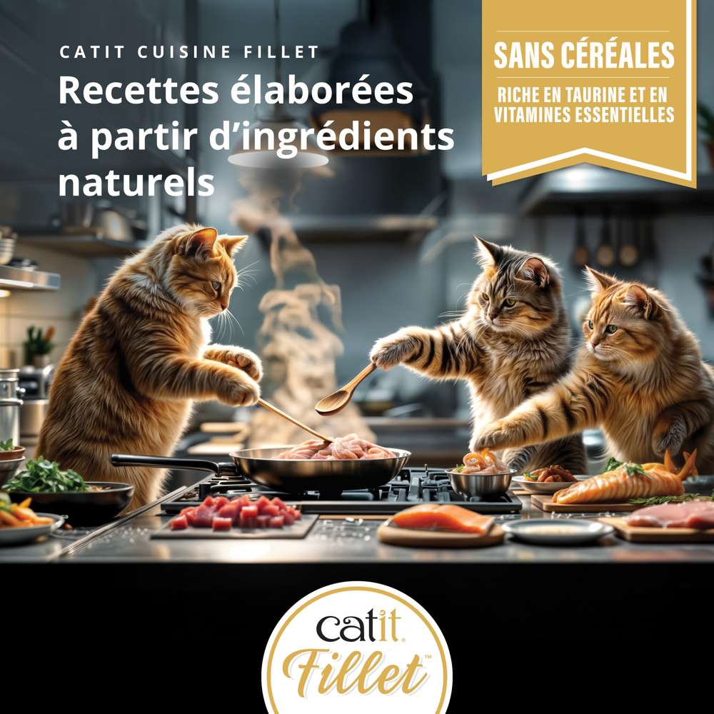 Multipack Filets pour chat - 12 x 75g - Catit Cuisine - Image 8