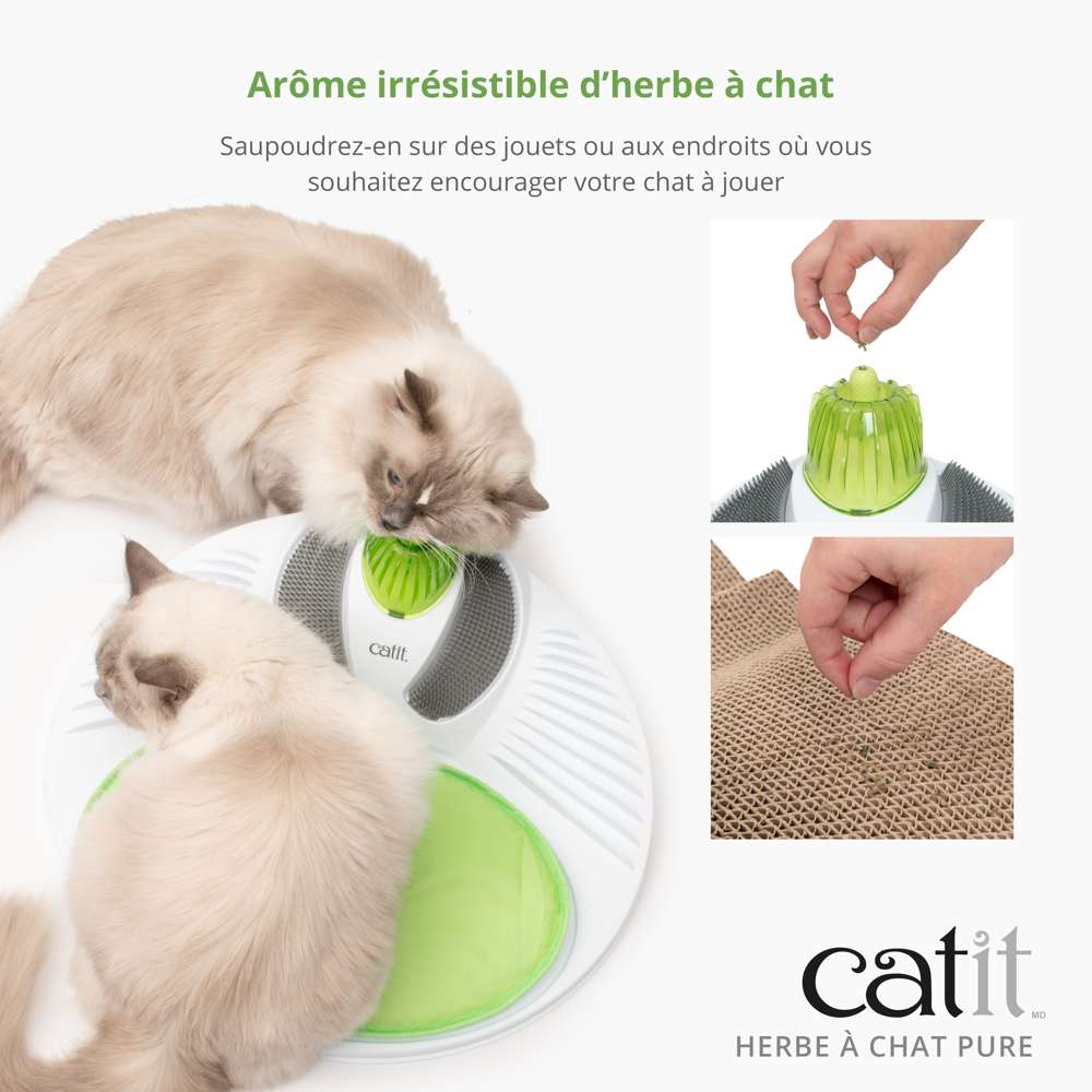 Herbe à chat pure - Catit - Image 3
