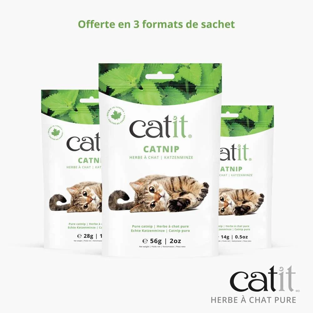 Herbe à chat pure - Catit - Image 4