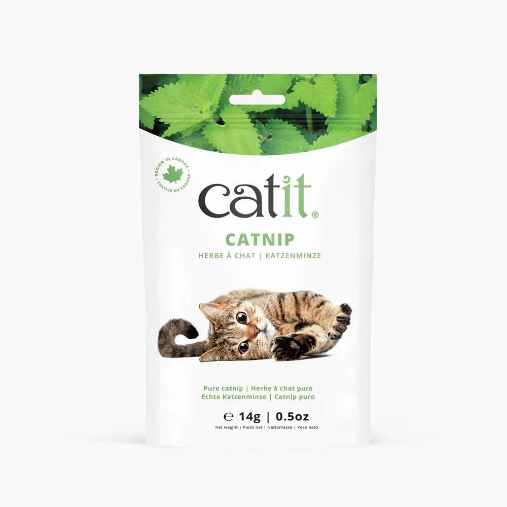Herbe à chat pure - Catit - Image 6