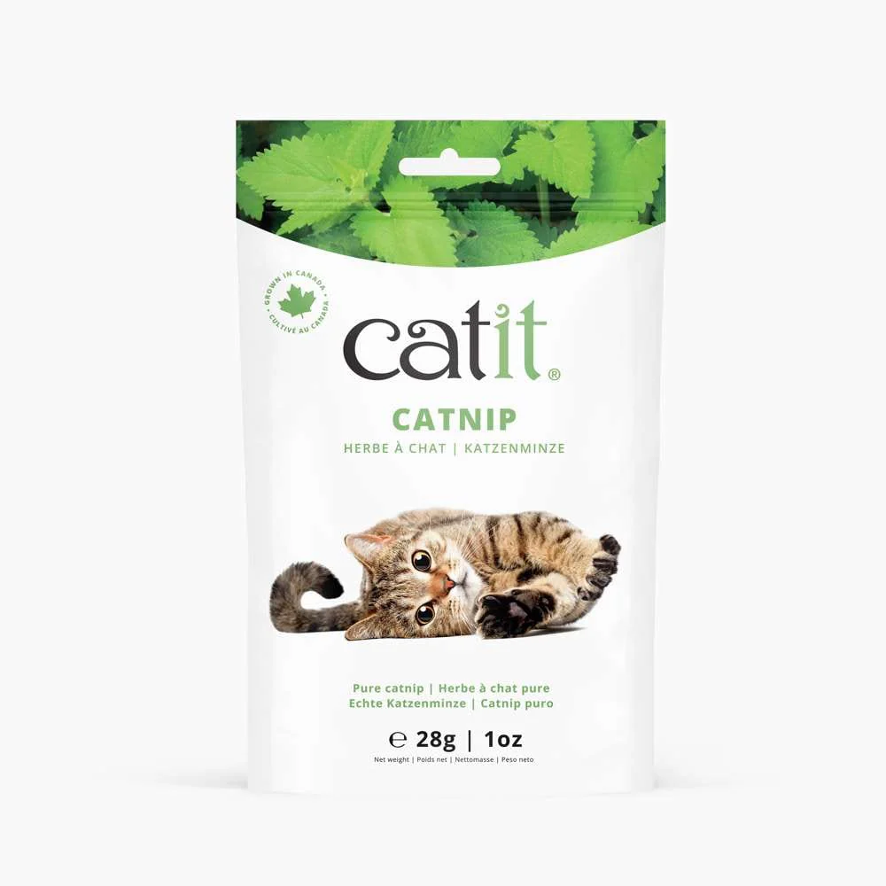 Herbe à chat pure - Catit - Image 8