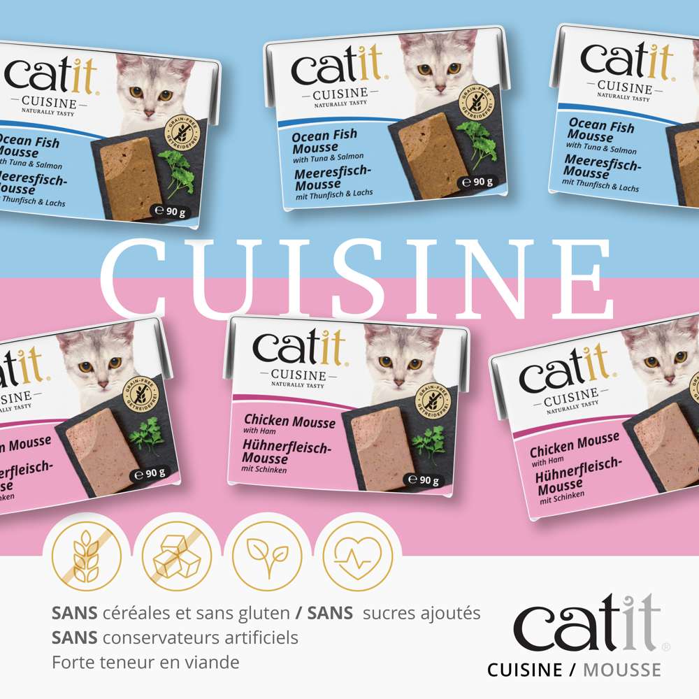 Mousse pour chat - 90g - Catit Cuisine - Image 4