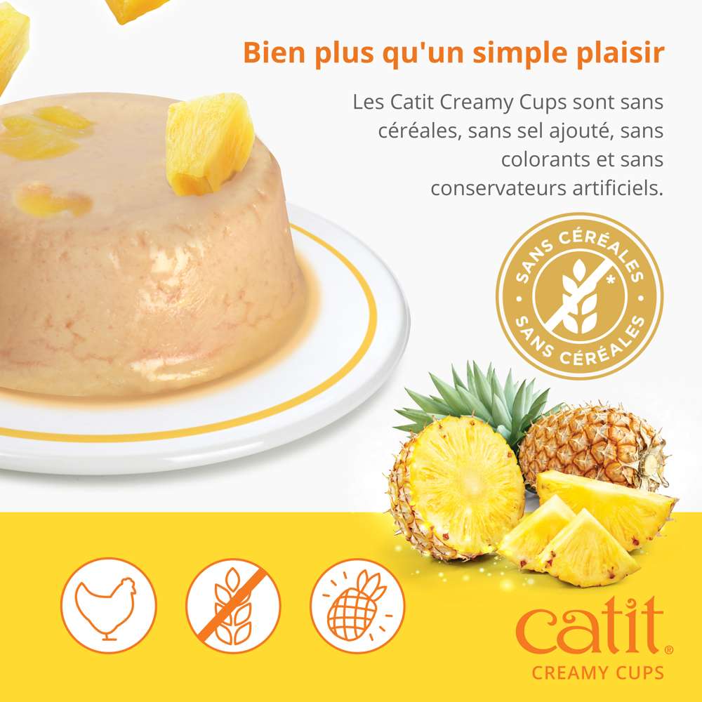 Mousse pour chat - Catit Creamy Cups - Image 11