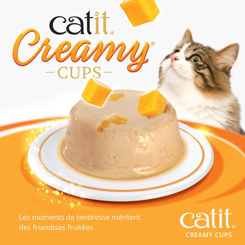 Mousse pour chat - Catit Creamy Cups - Image 15
