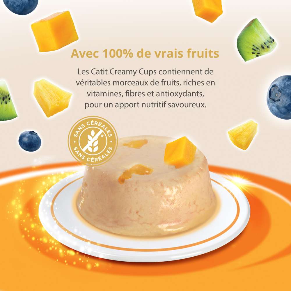 Mousse pour chat - Catit Creamy Cups - Image 18