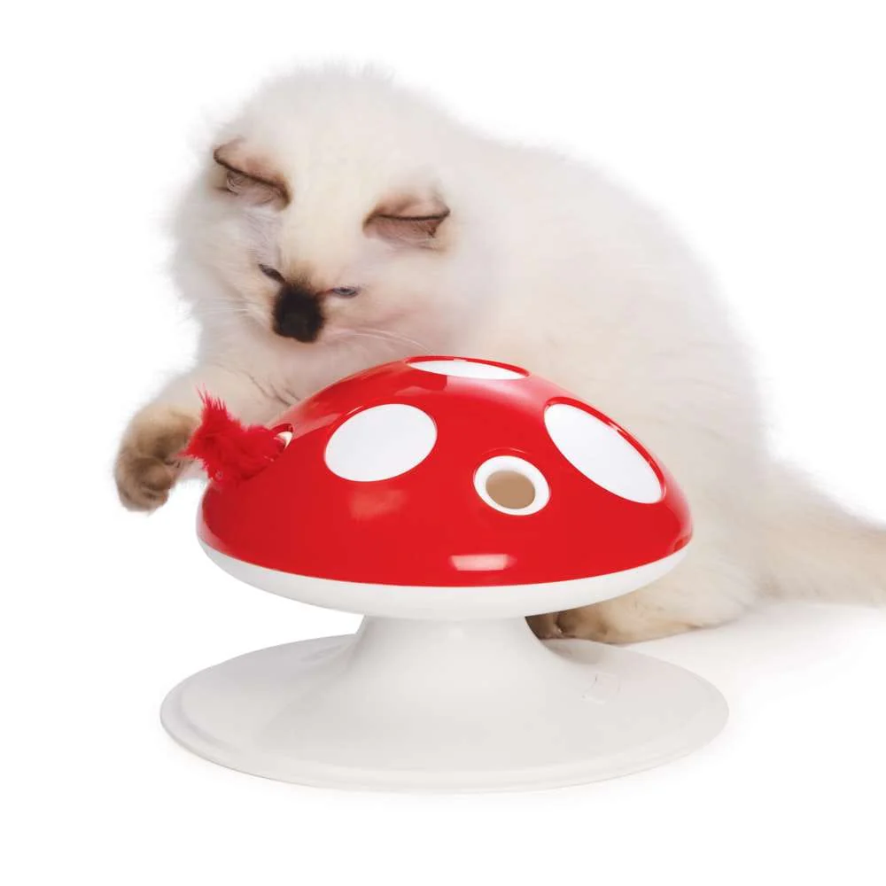 Miniature 1
