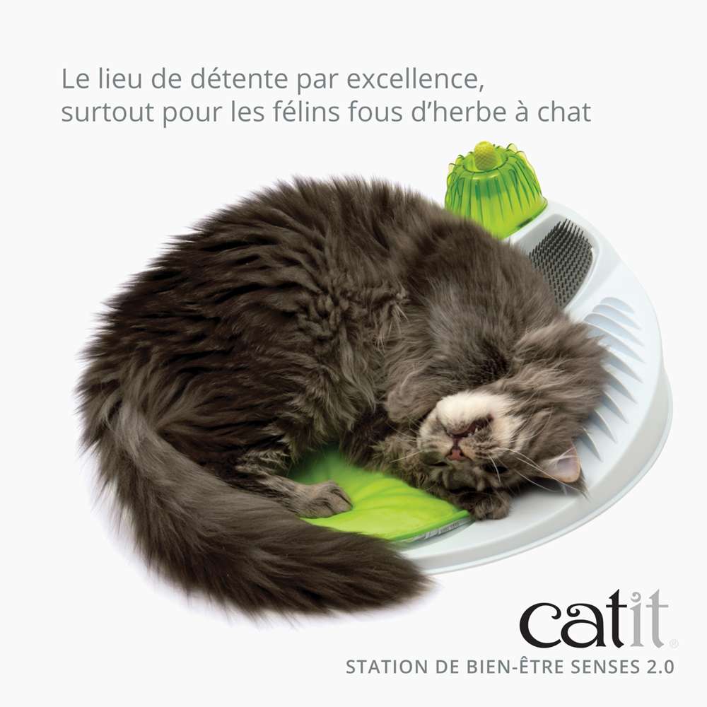 Station de bien-être pour chat - Avec herbe à chat - Catit Senses - Image 6